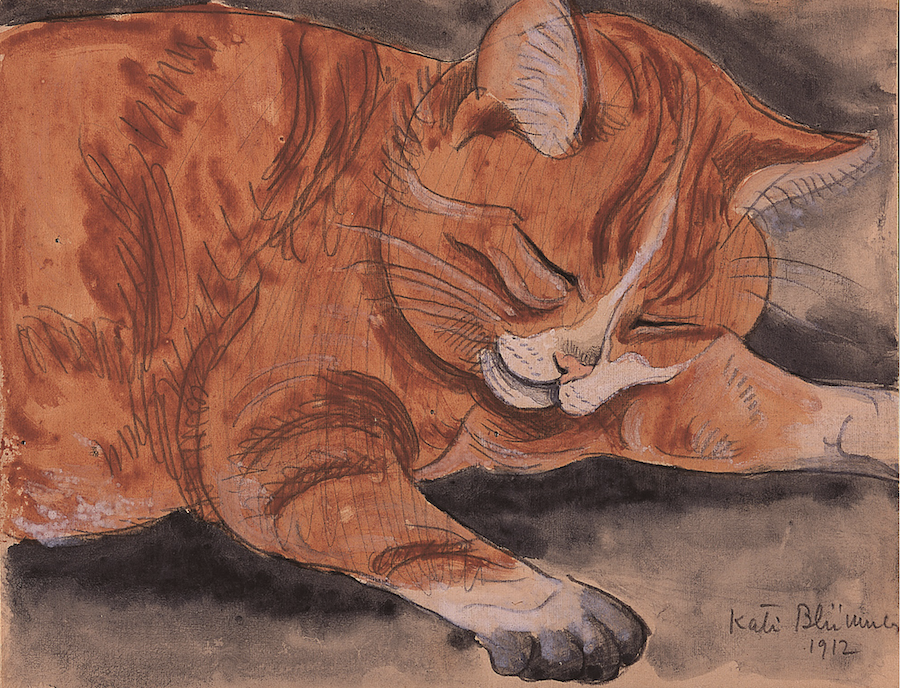 Drawing of an orange cat