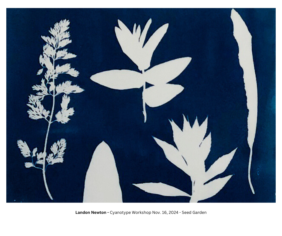 Blue background with white impression of plants