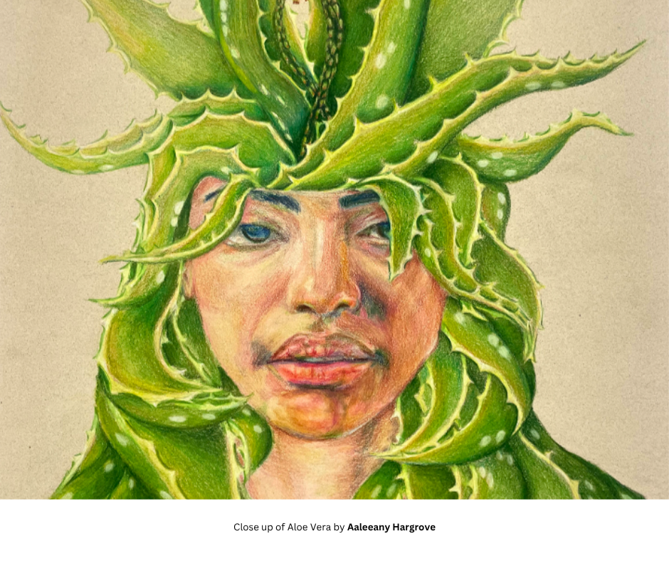 Close up of Aloe Vera by Aaleeany Hargrove
